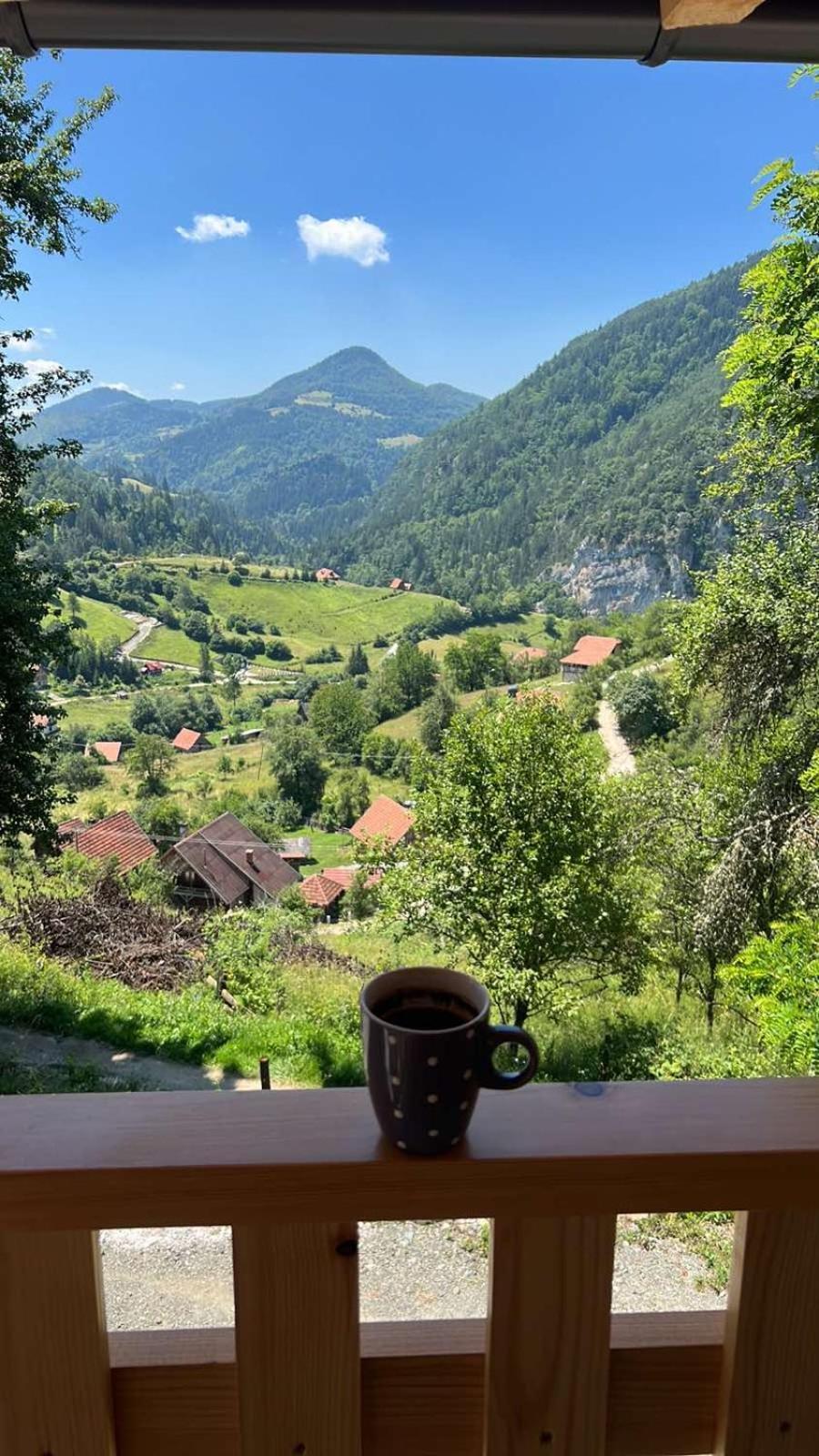 Ljubav Stara Zaovine Hotel Lazici Exterior foto